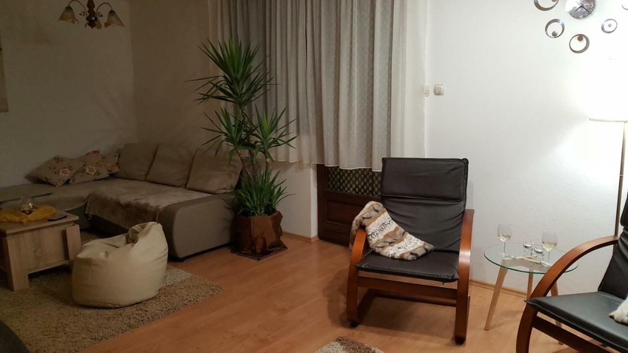 Apartment Zora - Guest House Ogulin Εξωτερικό φωτογραφία